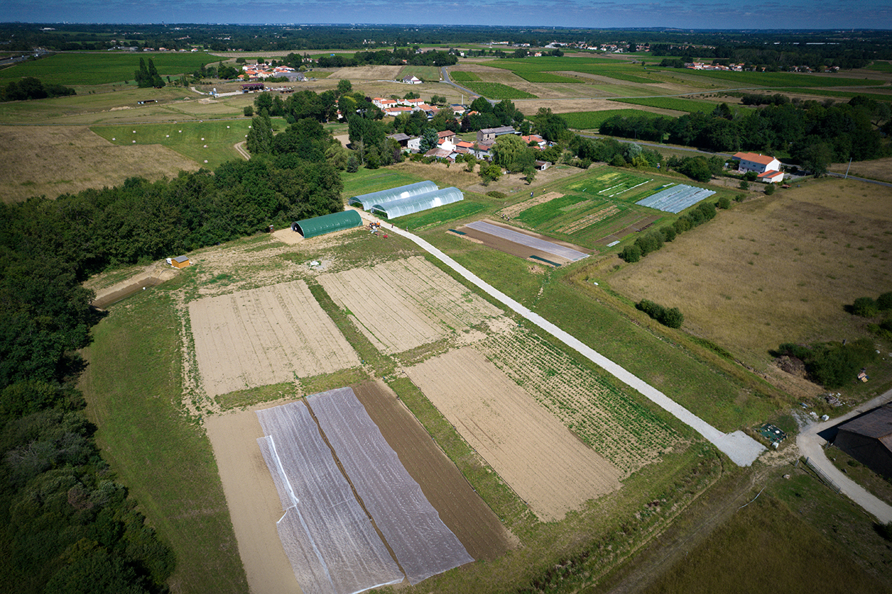 Jardin d'ESIA photo drone