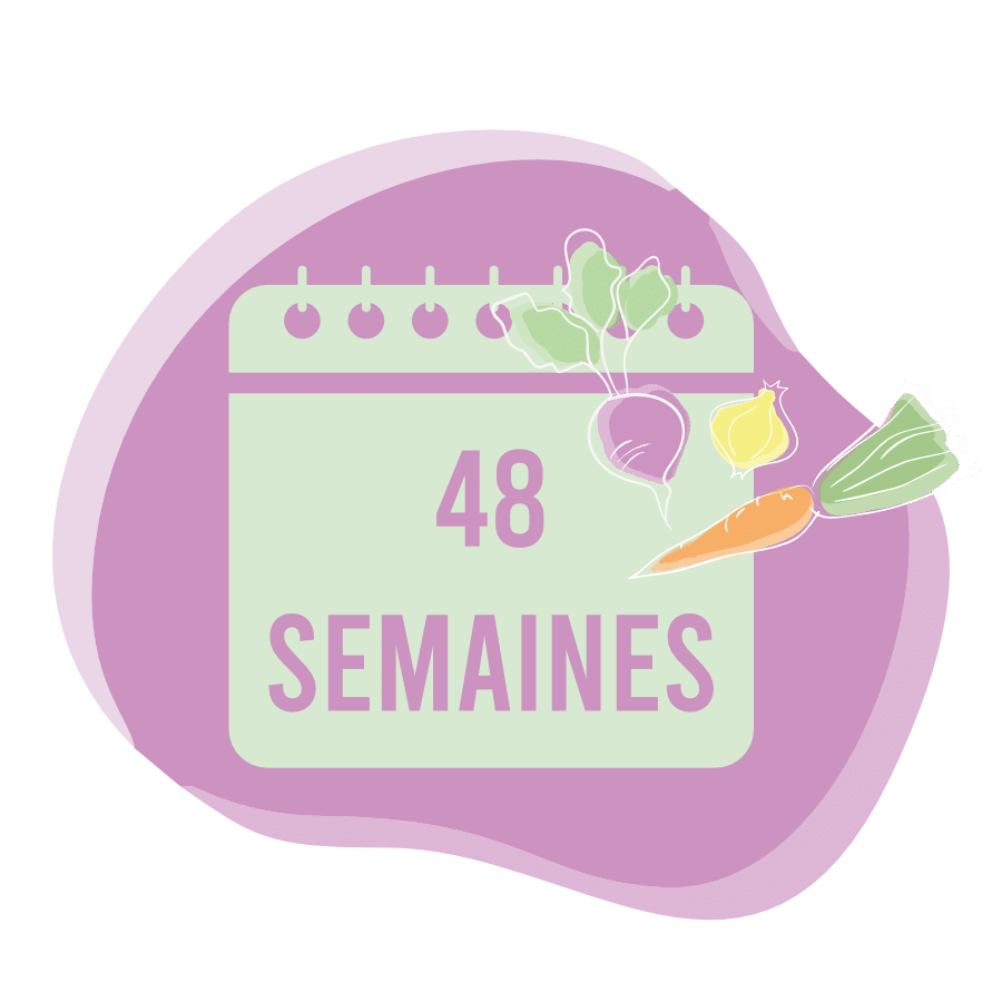 48 semaines de paniers de légumes bios