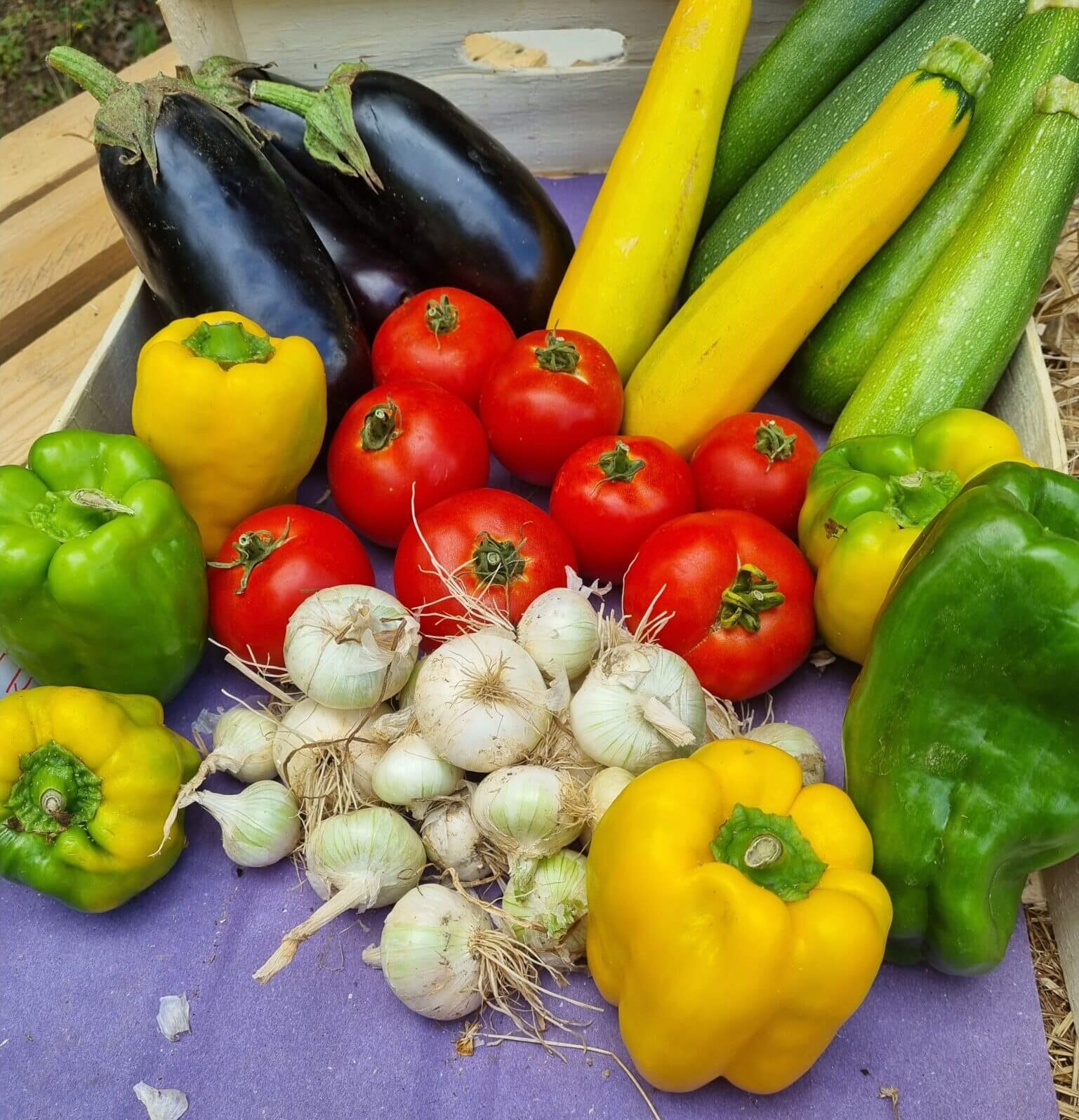 les paniers de légumes bio